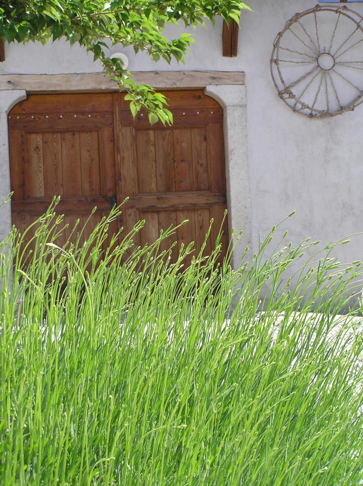 Youth Ferienhaus Pliskovica